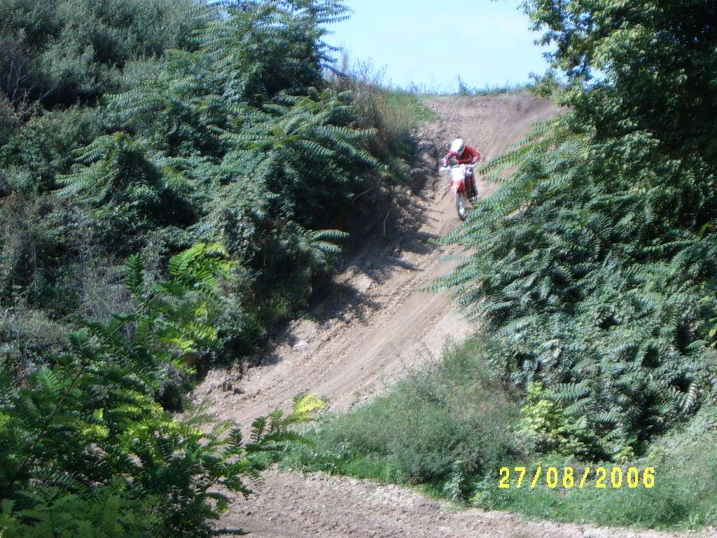 S3700154.JPG