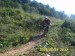 S3700147.JPG