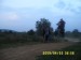 S3700195.JPG